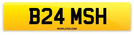 B24 MSH