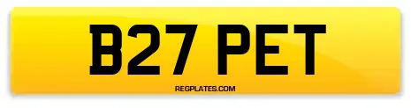B27 PET