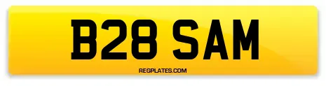 B28 SAM