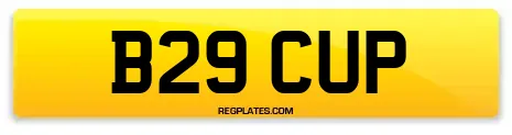 B29 CUP