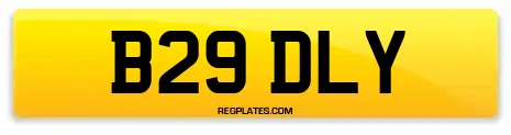 B29 DLY