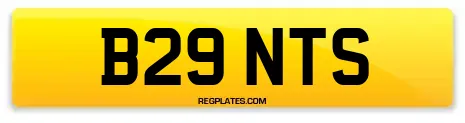 B29 NTS