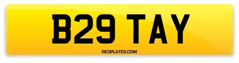 B29 TAY