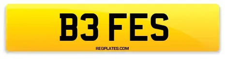 B3 FES