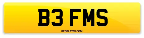 B3 FMS