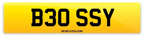 B30 SSY