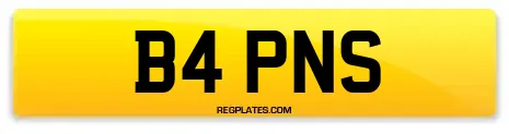 B4 PNS
