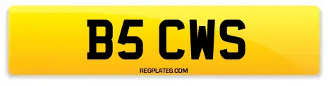 B5 CWS