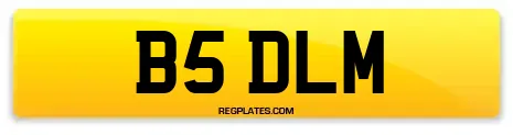 B5 DLM