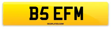 B5 EFM