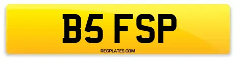 B5 FSP