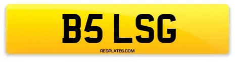B5 LSG