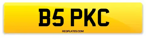 B5 PKC