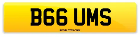 B66 UMS