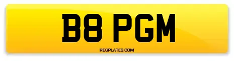 B8 PGM