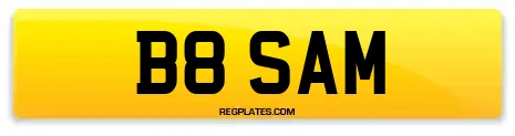 B8 SAM
