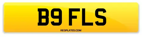 B9 FLS