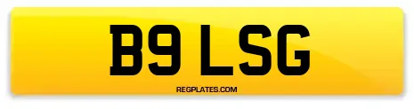 B9 LSG