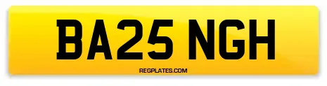 BA25 NGH