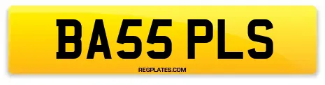 BA55 PLS