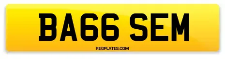 BA66 SEM