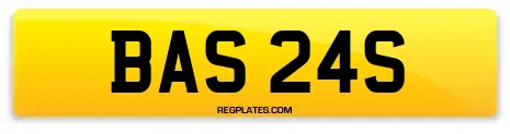 BAS 24S