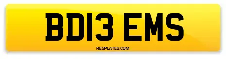 BD13 EMS
