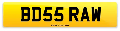 BD55 RAW
