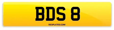 BDS 8
