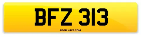 BFZ 313