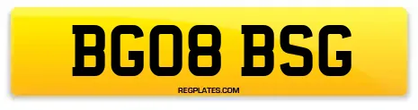 BG08 BSG