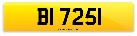 BI 7251