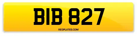 BIB 827