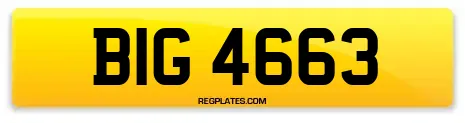 BIG 4663
