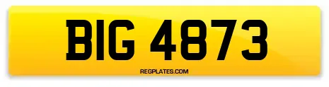 BIG 4873