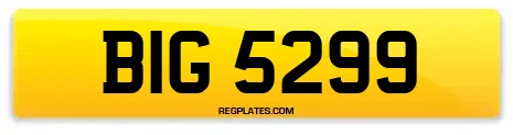 BIG 5299