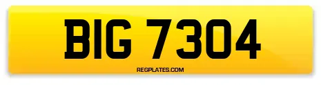 BIG 7304