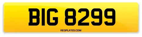 BIG 8299