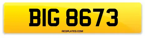 BIG 8673