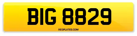 BIG 8829