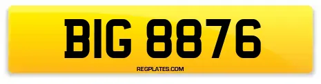 BIG 8876