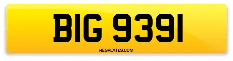 BIG 9391