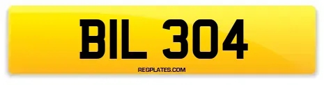 BIL 304