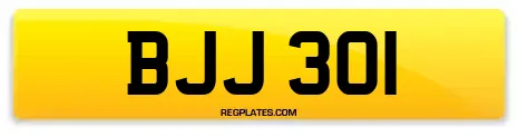 BJJ 301