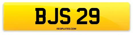 BJS 29
