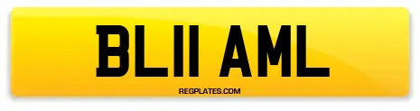 BL11 AML