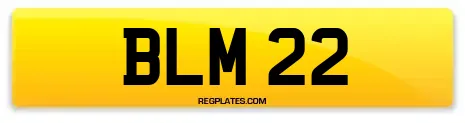 BLM 22