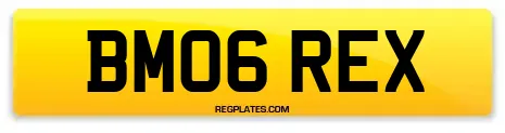 BM06 REX