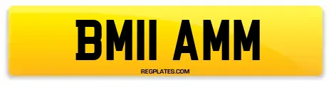 BM11 AMM