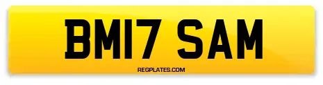 BM17 SAM